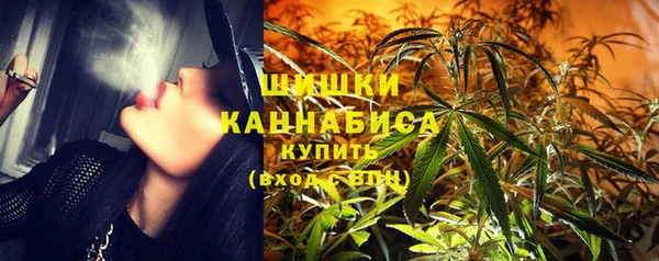 мдпв Бугульма