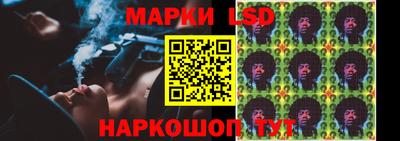 apvp Кингисепп