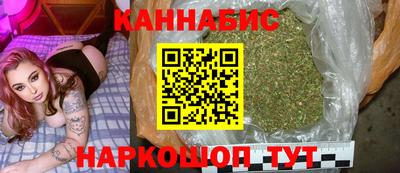 apvp Кингисепп