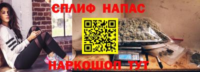 apvp Кингисепп