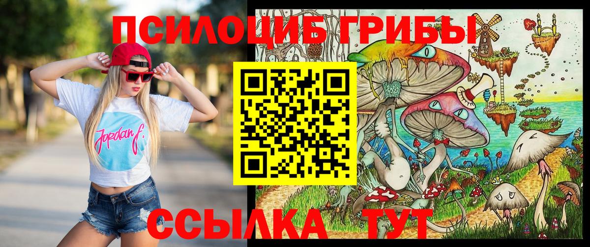 хочу наркоту  Вход с VPN  Кушва  Псилоцибиновые грибы Cubensis 